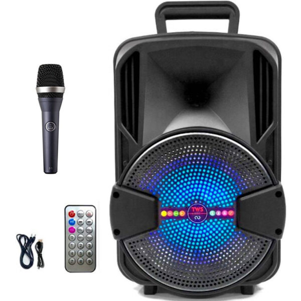6089256256 8 Inch Wireless Powered BT Portable Handle Speaker