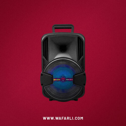 8 Inch Wireless Powered BT Portable Handle Speaker