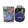 H297d9ccae4914fcbb76341bffadb6c9bf 8 Inch Wireless Powered BT Portable Handle Speaker