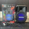 H69bcccf27b5348b698e364d3cb6694abj 8 Inch Wireless Powered BT Portable Handle Speaker